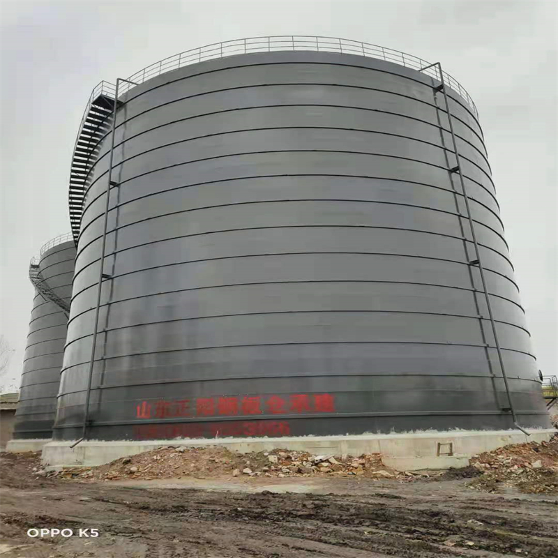 东平3万吨大型钢板库